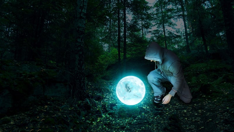 Enchanted Forest Exploration